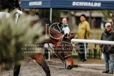 © Niki Buchegger, turnier-fotos.at