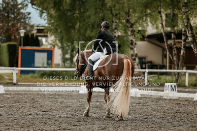 © Niki Buchegger, turnier-fotos.at