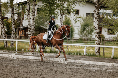 © Niki Buchegger, turnier-fotos.at