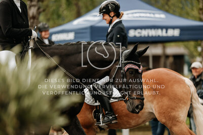 © Niki Buchegger, turnier-fotos.at