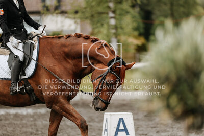 © Niki Buchegger, turnier-fotos.at