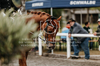 © Niki Buchegger, turnier-fotos.at
