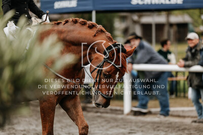 © Niki Buchegger, turnier-fotos.at
