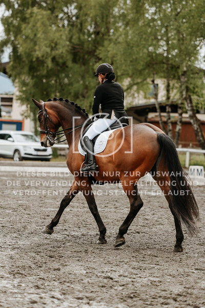 © Niki Buchegger, turnier-fotos.at