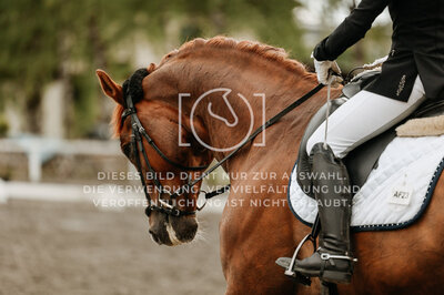 © Niki Buchegger, turnier-fotos.at