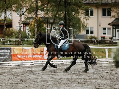 © Niki Buchegger, turnier-fotos.at