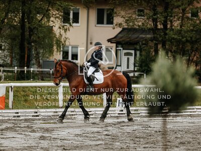 © Niki Buchegger, turnier-fotos.at