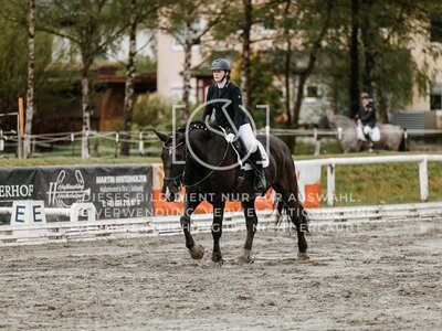 © Niki Buchegger, turnier-fotos.at