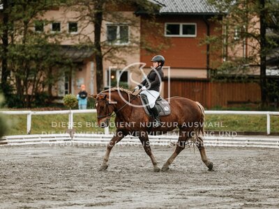 © Niki Buchegger, turnier-fotos.at