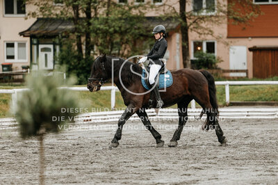 © Niki Buchegger, turnier-fotos.at