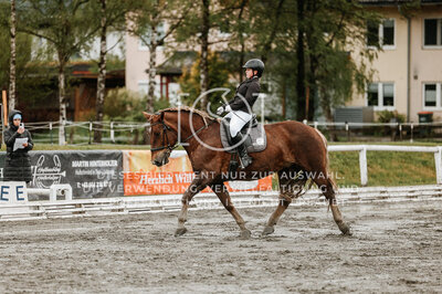 © Niki Buchegger, turnier-fotos.at