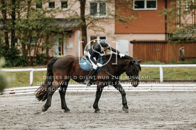 © Niki Buchegger, turnier-fotos.at