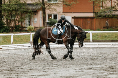 © Niki Buchegger, turnier-fotos.at