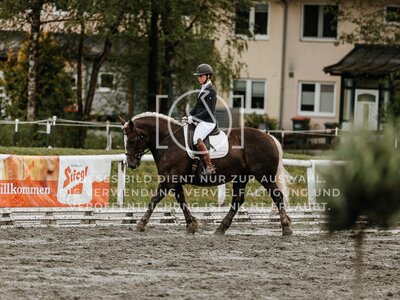 © Niki Buchegger, turnier-fotos.at
