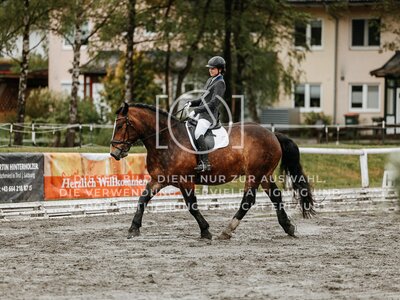 © Niki Buchegger, turnier-fotos.at