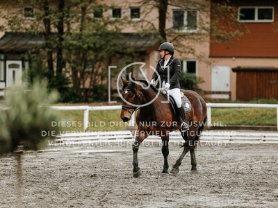 © Niki Buchegger, turnier-fotos.at