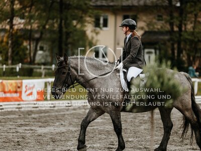 © Niki Buchegger, turnier-fotos.at