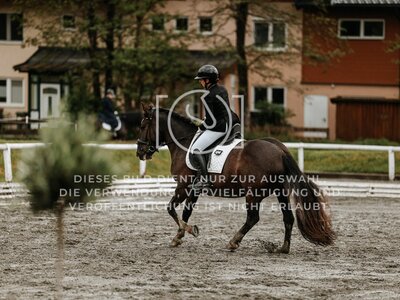 © Niki Buchegger, turnier-fotos.at