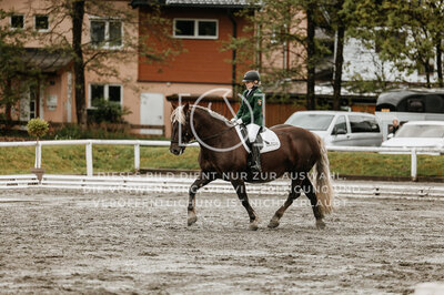 © Niki Buchegger, turnier-fotos.at