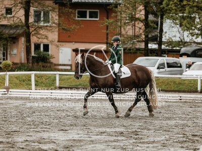 © Niki Buchegger, turnier-fotos.at