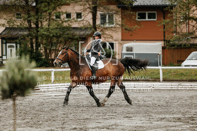 © Niki Buchegger, turnier-fotos.at