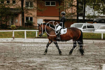 © Niki Buchegger, turnier-fotos.at