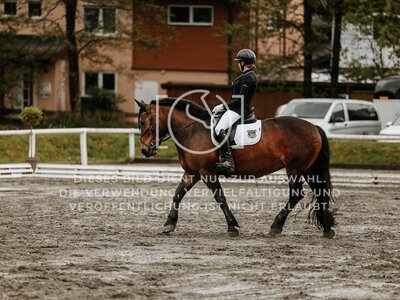 © Niki Buchegger, turnier-fotos.at