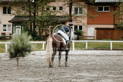 © Niki Buchegger, turnier-fotos.at