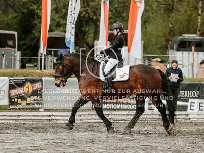© Niki Buchegger, turnier-fotos.at