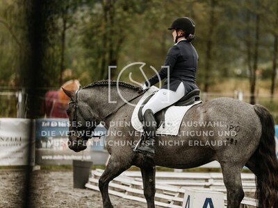 © Niki Buchegger, turnier-fotos.at