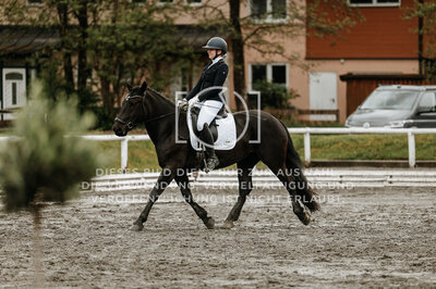 © Niki Buchegger, turnier-fotos.at