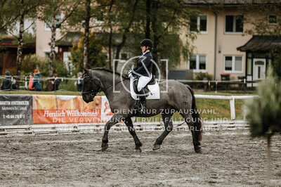 © Niki Buchegger, turnier-fotos.at