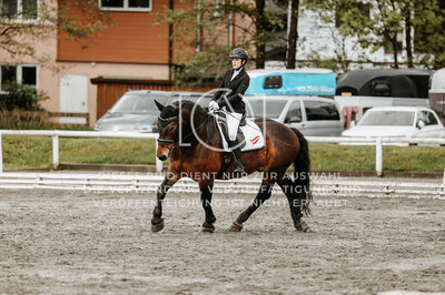 © Niki Buchegger, turnier-fotos.at