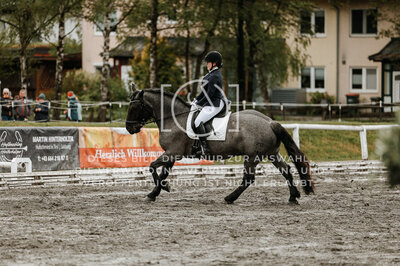© Niki Buchegger, turnier-fotos.at