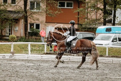© Niki Buchegger, turnier-fotos.at