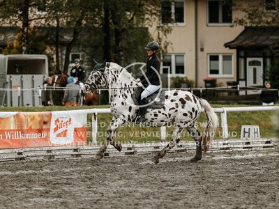 © Niki Buchegger, turnier-fotos.at