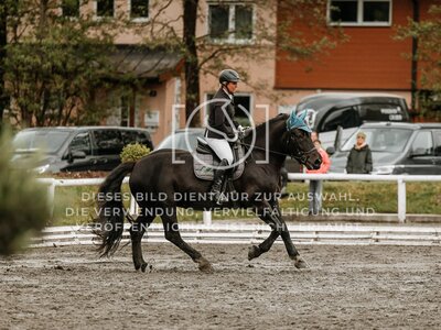 © Niki Buchegger, turnier-fotos.at