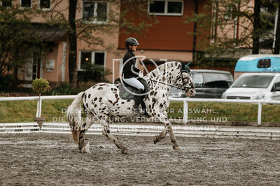 © Niki Buchegger, turnier-fotos.at