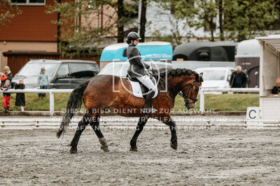 © Niki Buchegger, turnier-fotos.at