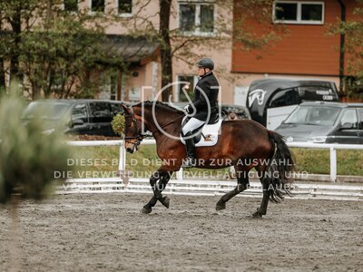 © Niki Buchegger, turnier-fotos.at