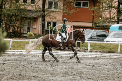© Niki Buchegger, turnier-fotos.at