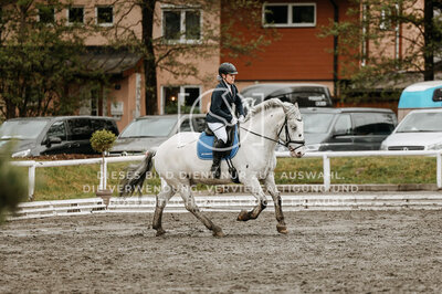 © Niki Buchegger, turnier-fotos.at