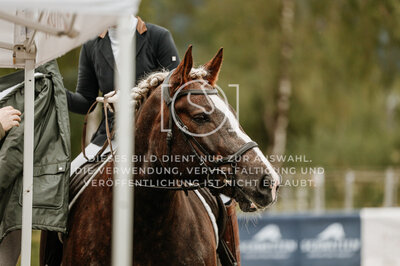 © Niki Buchegger, turnier-fotos.at