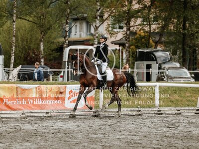 © Niki Buchegger, turnier-fotos.at