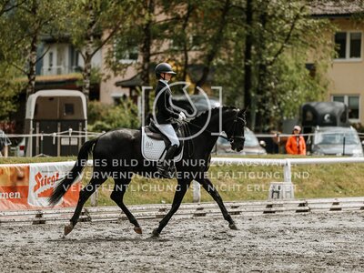 © Niki Buchegger, turnier-fotos.at