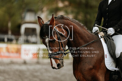 © Niki Buchegger, turnier-fotos.at