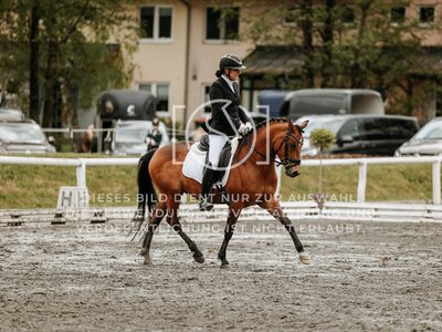 © Niki Buchegger, turnier-fotos.at