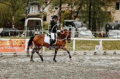 © Niki Buchegger, turnier-fotos.at