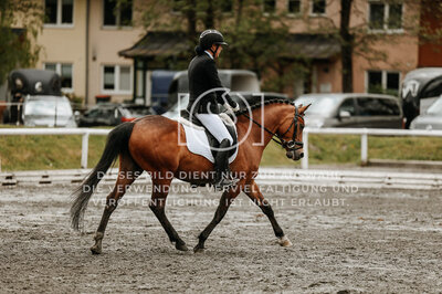 © Niki Buchegger, turnier-fotos.at