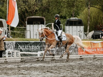 © Niki Buchegger, turnier-fotos.at